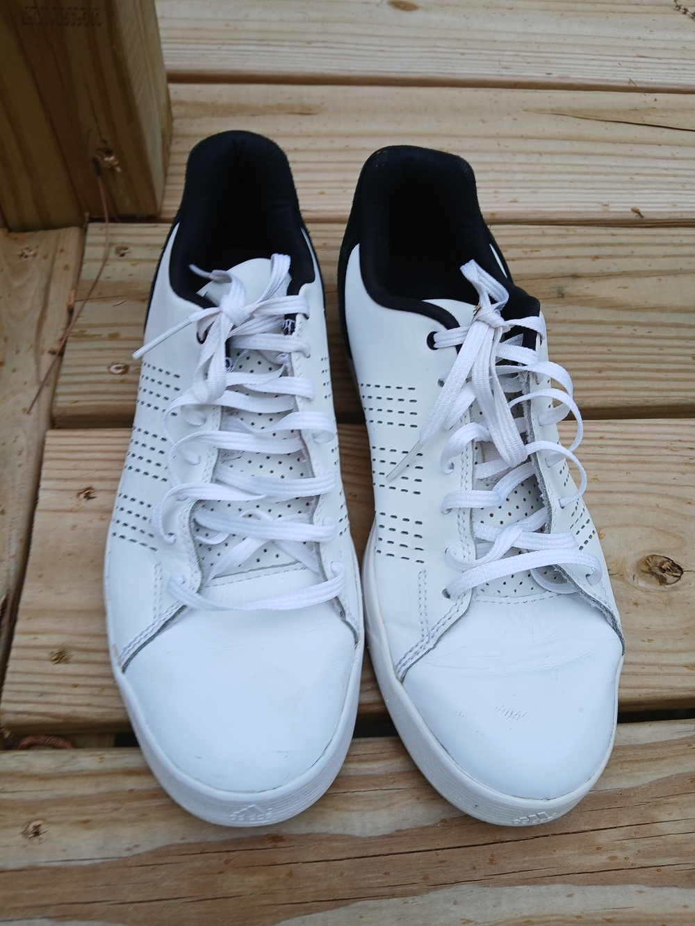 adidas White Sneakers with Black Collar